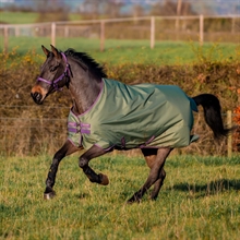 Horseware Amigo Hero Ripstop regendeken Lite 0 gram